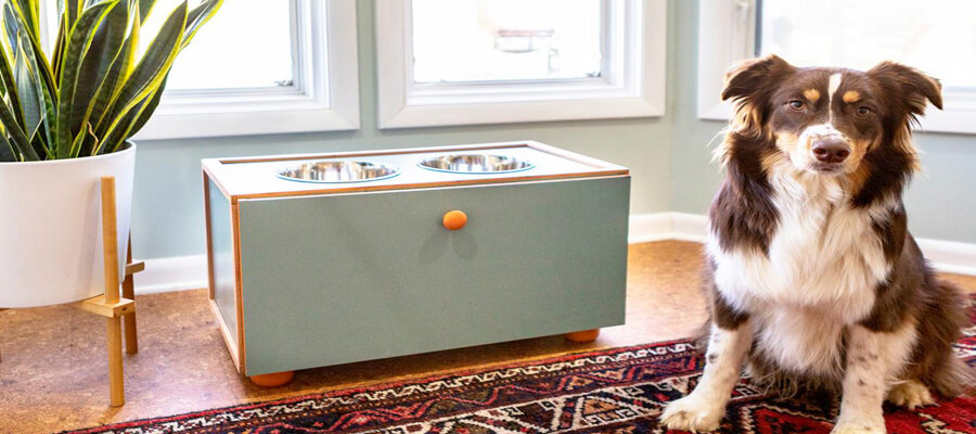 Dog-Friendly DIY Projects You Can Try at Home